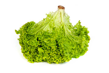 Image showing Fresh Green Lettuce isolated on white