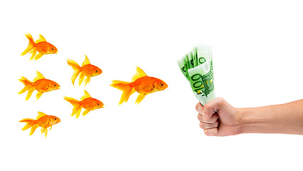 Image showing Goldfish with money