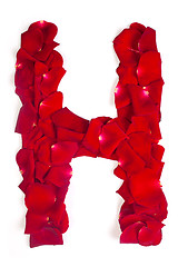 Image showing Letter H made from red petals rose on white