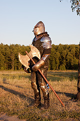 Image showing Medieval knight