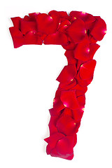 Image showing number 7 made from red petals rose on white