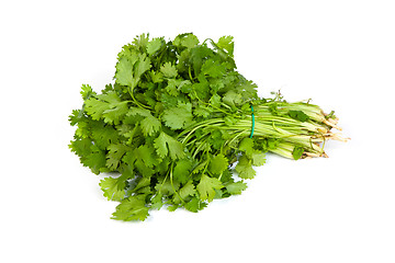 Image showing Parsley tied in a bunch with twine isolated