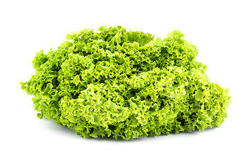 Image showing Green butter Lettuce