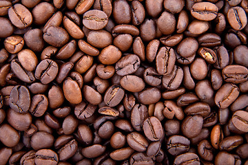 Image showing Background of coffee bean
