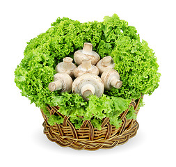 Image showing Champignon