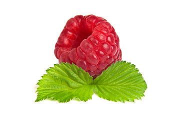 Image showing Ripe rasberry with green leaf isolated over white. Close up macr