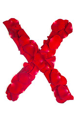 Image showing Letter X made from red petals rose on white