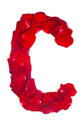 Image showing Letter C made from red petals rose on white