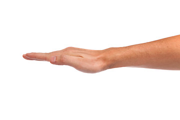 Image showing Open palm hand gesture of male hand