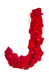 Image showing Letter J made from red petals rose on white