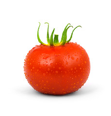 Image showing Tomato