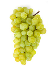 Image showing Grape