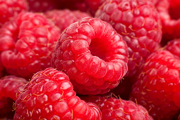 Image showing Ripe rasberry background. Close up macro shot of raspberries