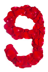 Image showing number 9 made from red petals rose on white