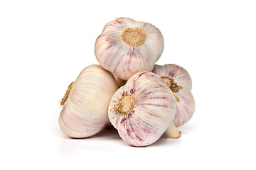 Image showing Group of garlics . A heads of garlics isolated