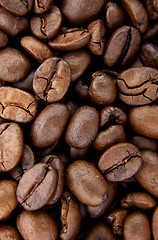 Image showing Background of coffee bean
