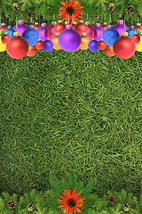 Image showing Christmas spruce  texture