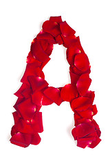 Image showing Letter A made from red petals rose on white