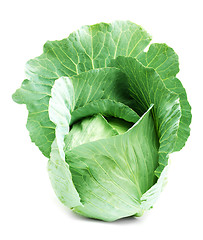 Image showing Head of green cabbage