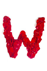 Image showing Letter W made from red petals rose on white