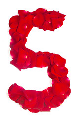 Image showing number 5 made from red petals rose on white