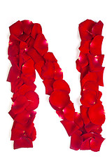 Image showing Letter N made from red petals rose on white