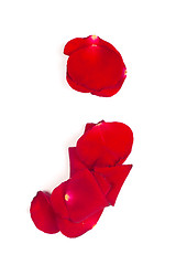 Image showing Punctuation mark made from red petals rose on white