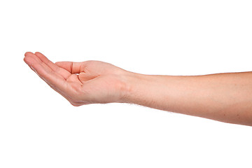 Image showing Open palm hand gesture of male hand