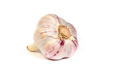 Image showing A head of garlic isolated on white