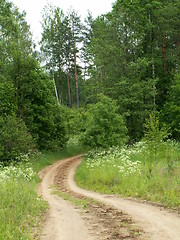 Image showing road in Latgalia (Latvia)