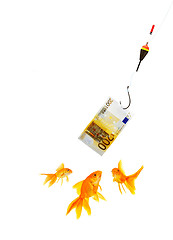 Image showing Goldfish