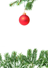 Image showing Branches with a Christmas toy