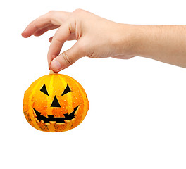 Image showing Halloween pumpkin