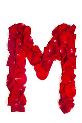 Image showing Letter M made from red petals rose on white