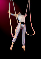 Image showing Acrobat