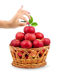 Image showing Basket of apples