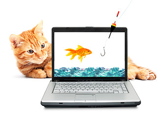 Image showing Goldfish, cat, laptop 