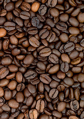 Image showing Background of coffee bean
