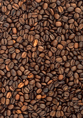 Image showing Background of coffee bean
