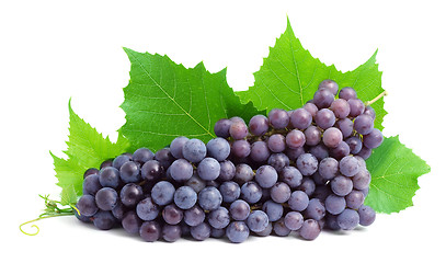 Image showing Grape