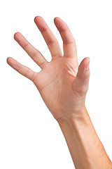 Image showing Male hand reaching for something on white