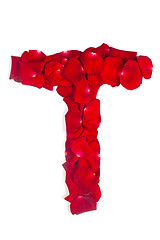 Image showing Letter T made from red petals rose on white