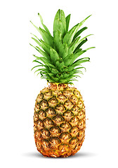 Image showing Ripe pineapple