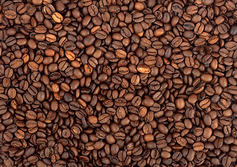 Image showing Background of coffee bean
