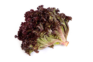 Image showing Fresh red Lettuce isolated on white