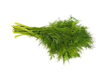 Image showing Fresh branches of green dill isolated