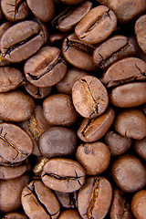 Image showing Background of coffee bean
