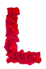 Image showing Letter L made from red petals rose on white