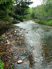 Image showing wild river