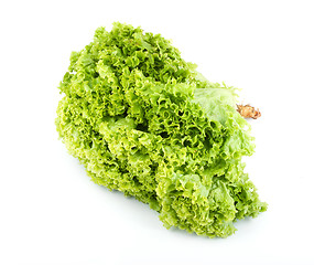 Image showing Lettuce